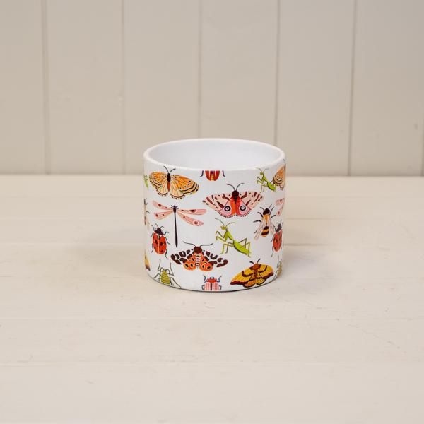 Insect Pot TD12cm H10.5cm L12cm W12cm Weight-119g