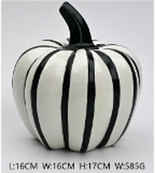 Black and White Striped Pumpkin