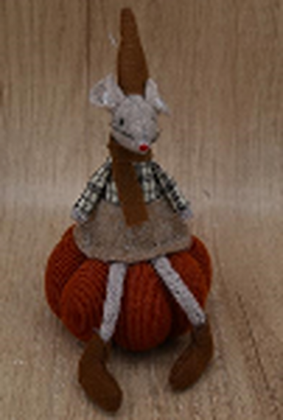 Autumn Mouse sat on Pumpkin
